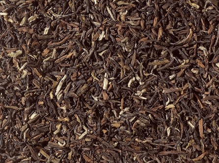 Teegarten NO.1 Nepal Maloom