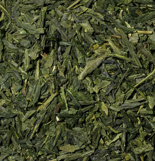 Sencha