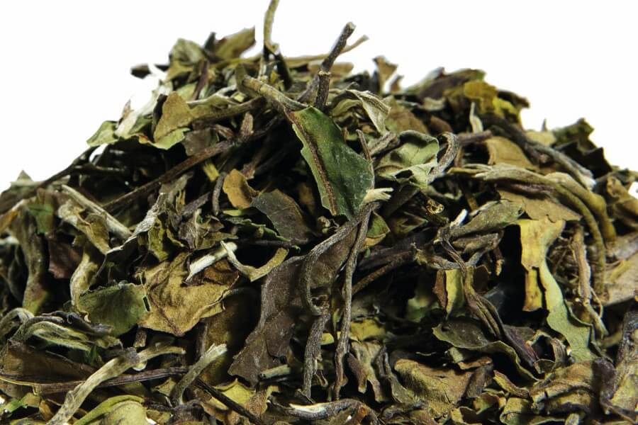 WEISSER TEE NO.2 BIO Pai Mu Tan