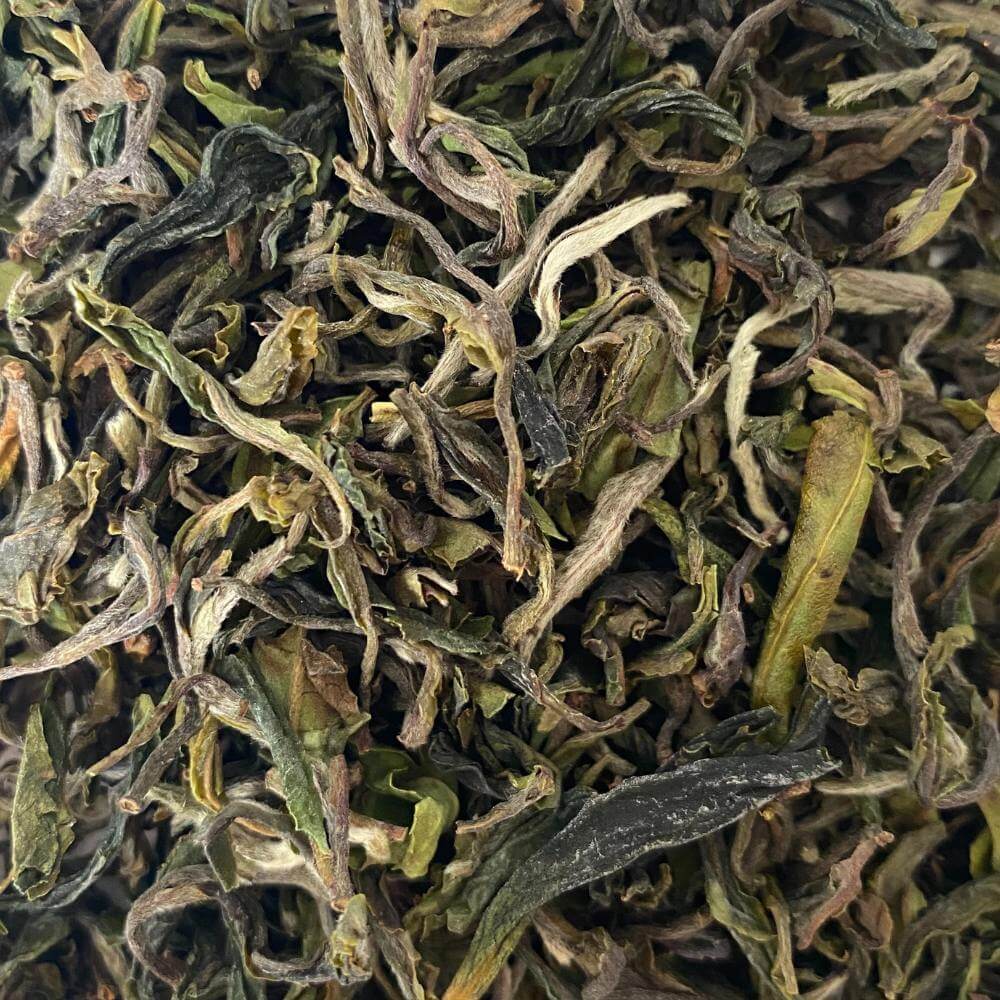 DARJEELING 1st FLUSH NO.9 BIO Flugtee 2023 PUTTABONG DJ1