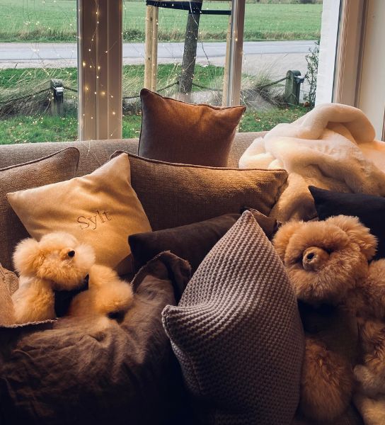 Kuschelstunden