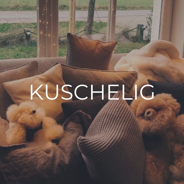 Kategoriebilder Geschenke Guide (10)
